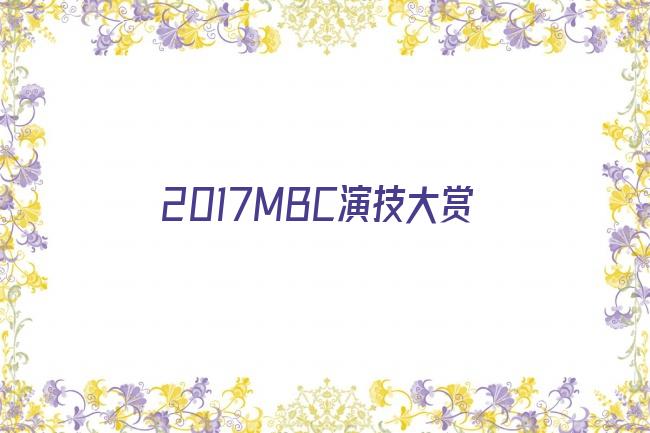 2017MBC演技大赏剧照