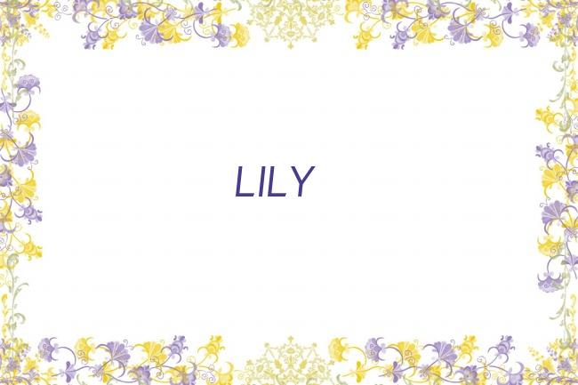 LILY剧照