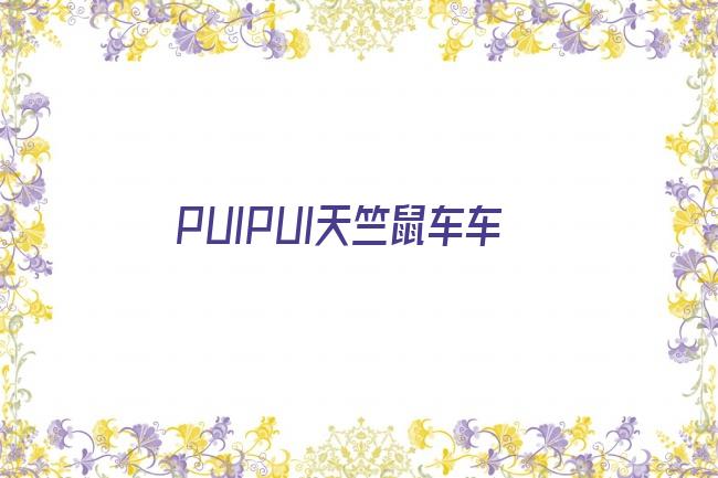 PUIPUI天竺鼠车车剧照