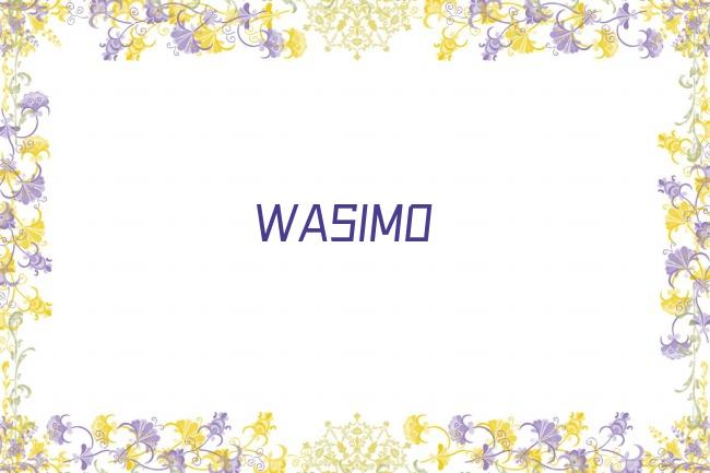WASIMO剧照