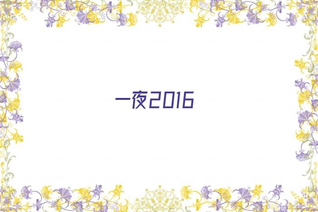 一夜2016剧照