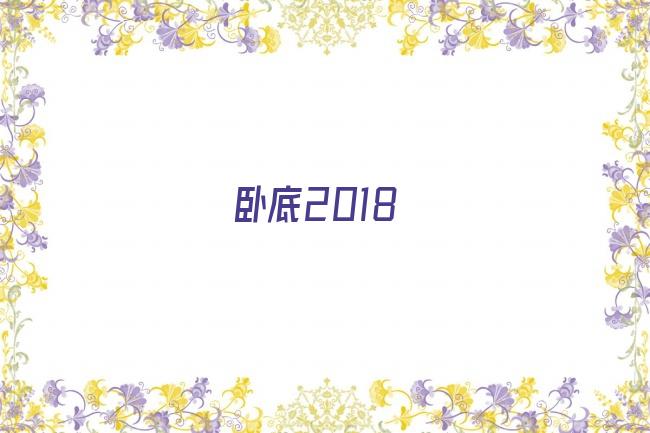 卧底2018剧照