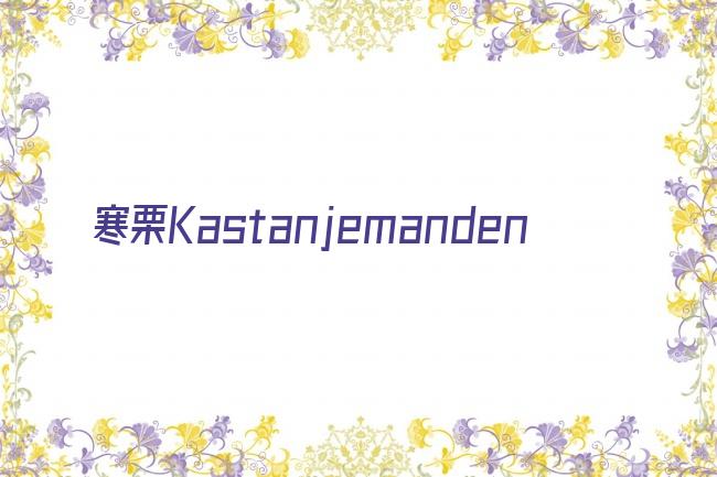 寒栗Kastanjemanden剧照