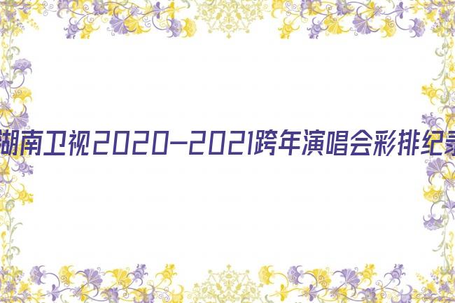 湖南卫视2020-2021跨年演唱会彩排纪录片剧照